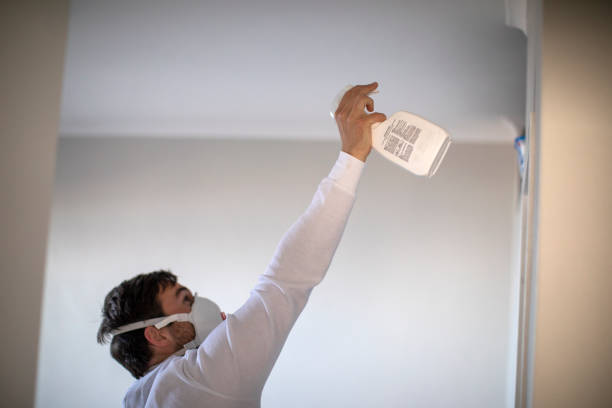 Best Residential Mold Removal  in Adams, WI