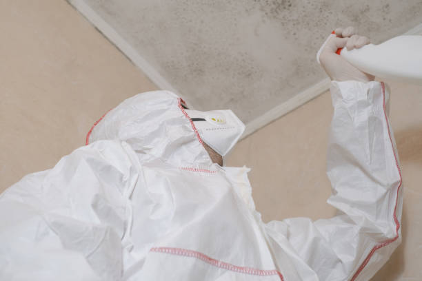 Home Mold Removal in Adams, WI